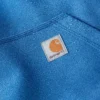 Camisola com capuz Paxton para homem, pesada e repelente à água - Hoodies carhartt Rain Defender