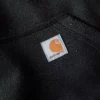 Camisola com capuz Paxton para homem, pesada e repelente à água - Hoodies carhartt Rain Defender