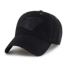 Carolina Panthers '47 - Limpeza