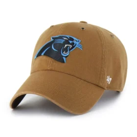 Carolina Panthers '47 - Limpeza