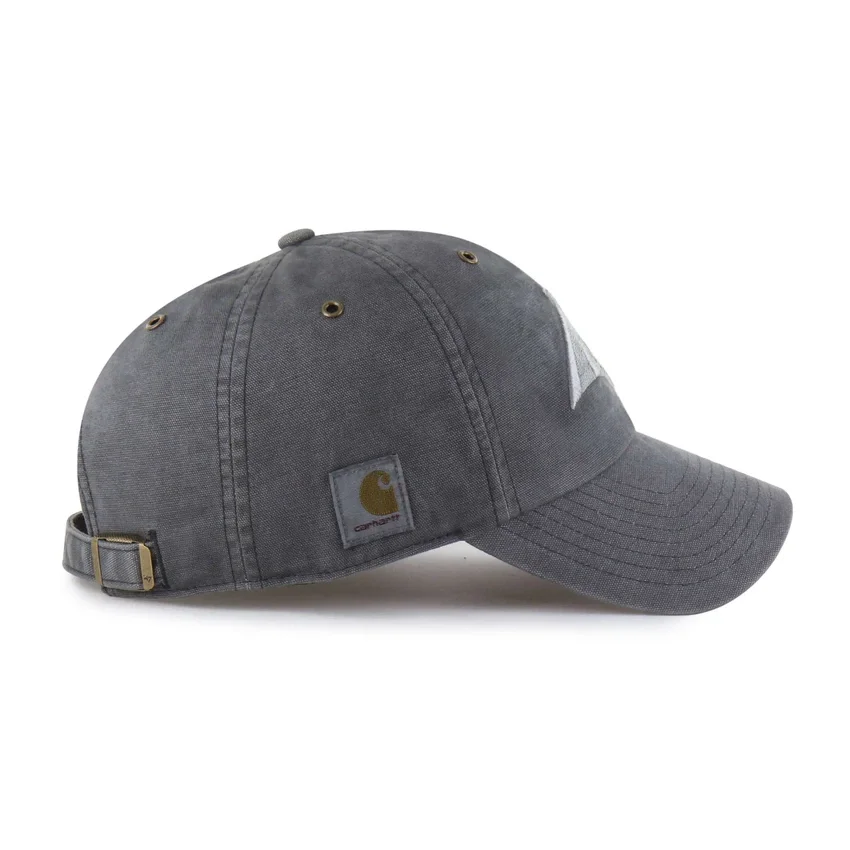 Carolina Panthers '47 Tingido Clean Up