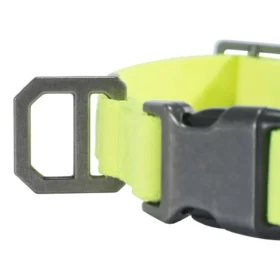 Coleira para cão em nylon Duck