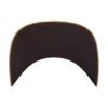 Houston Astros '47 Hitch