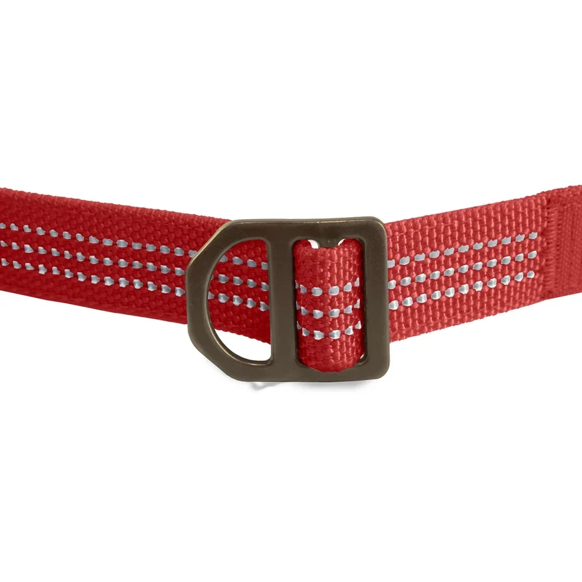 Trela para cães de campo
